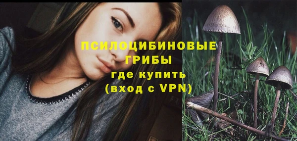 бошки Армянск