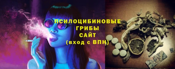 бошки Армянск